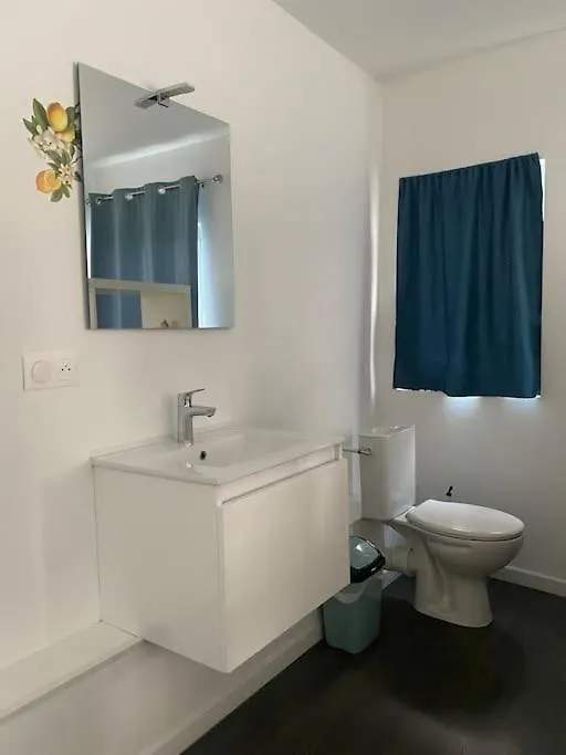 Appartement Spacieux Et Confortable Au Centre De Chambery L'Appart De L'Atelier Du Citron Et Sa Deco Citronnee Apartment