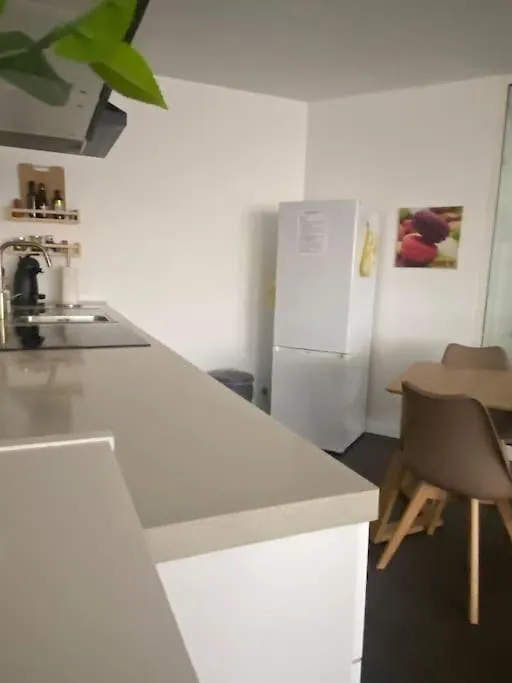 Appartement Spacieux Et Confortable Au Centre De Chambery L'Appart De L'Atelier Du Citron Et Sa Deco Citronnee